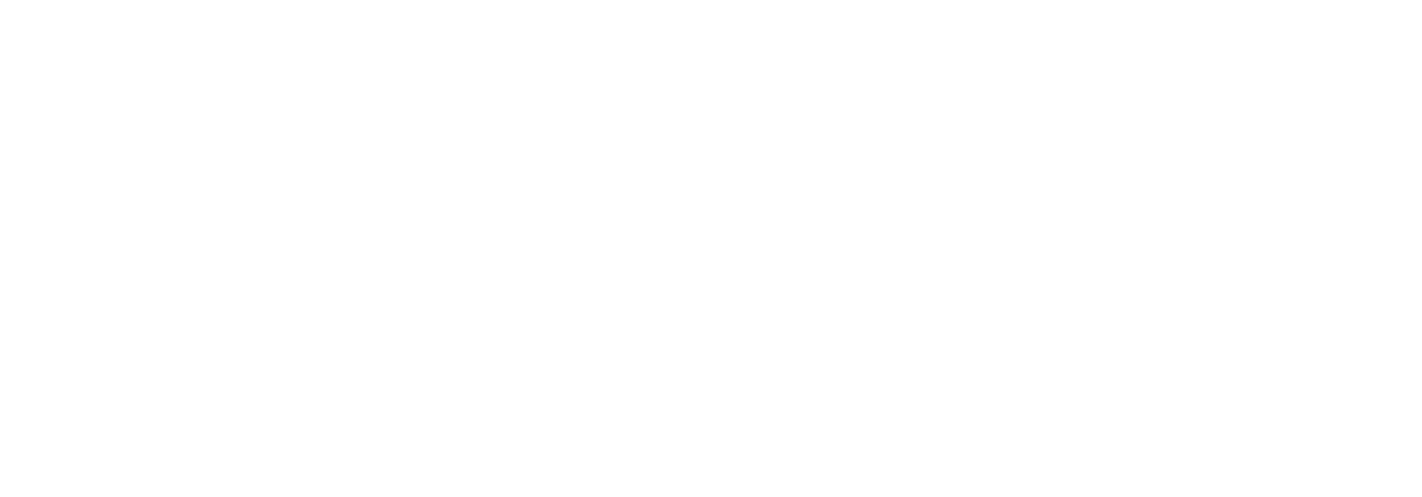 Puristcar